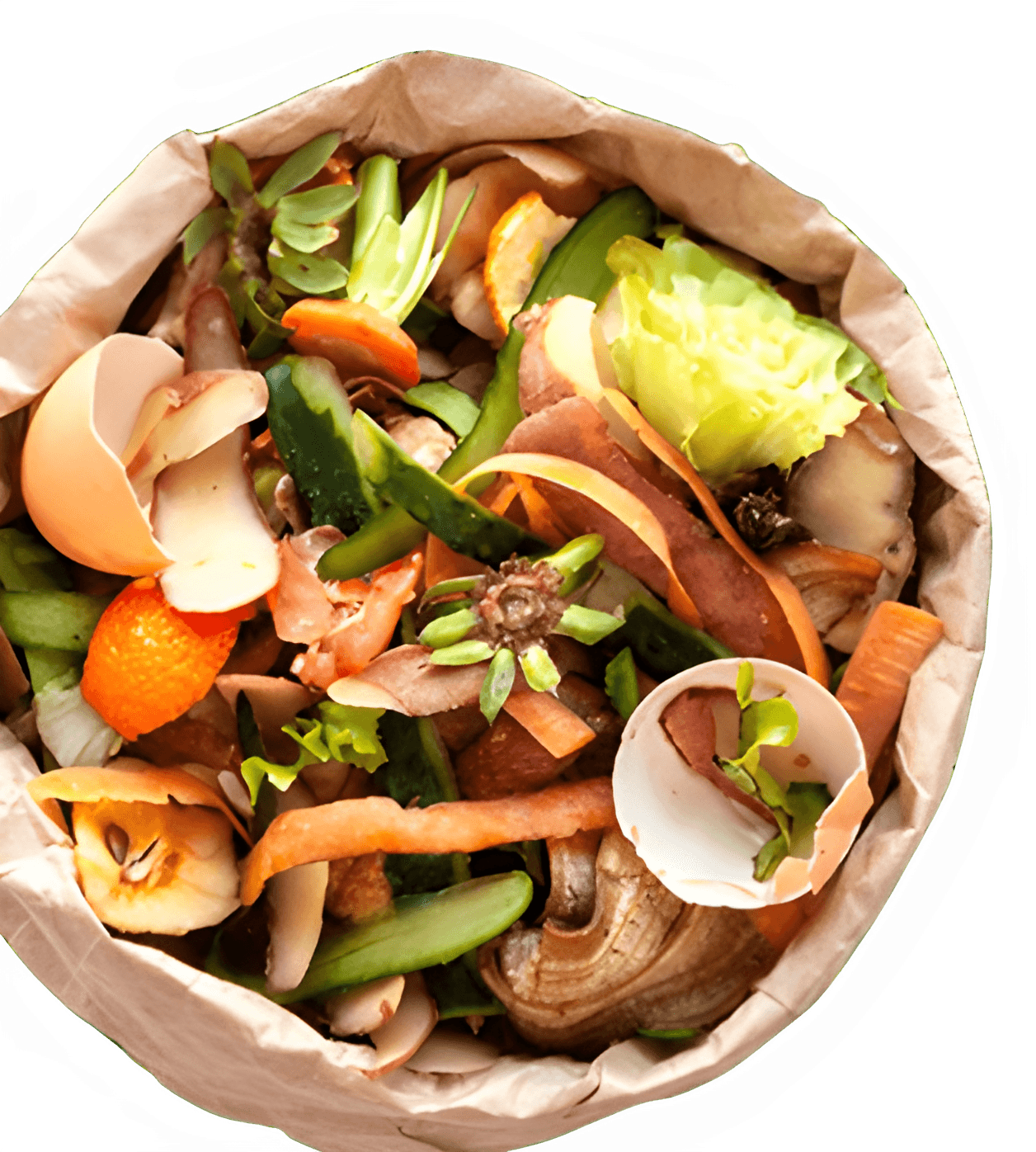 Food waste bowl