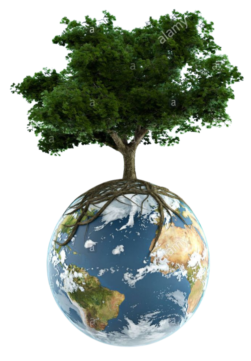 FoodLoop Eco Earth Tree