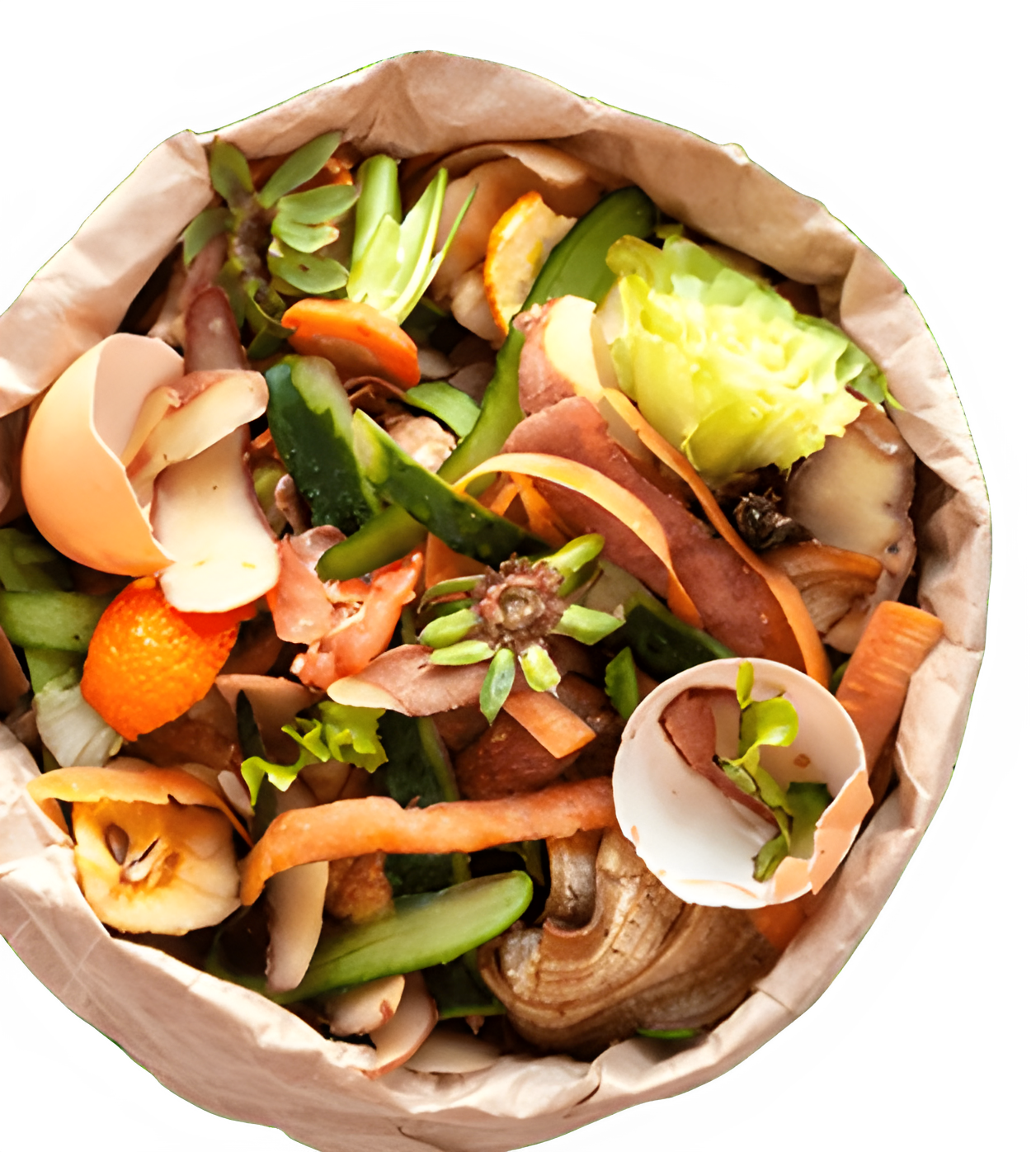 Food waste bowl